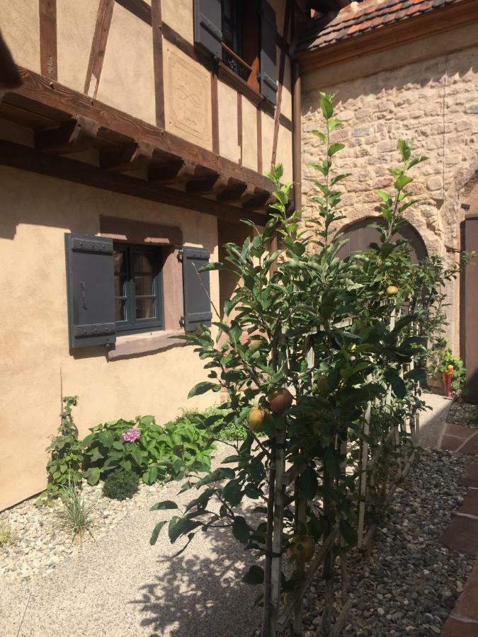 Villa La Dependance D'Elisa Epfig Exterior foto
